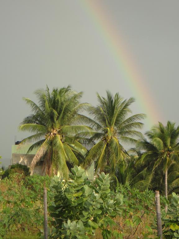 Kudehya Guesthouse Treasure Beach Luaran gambar