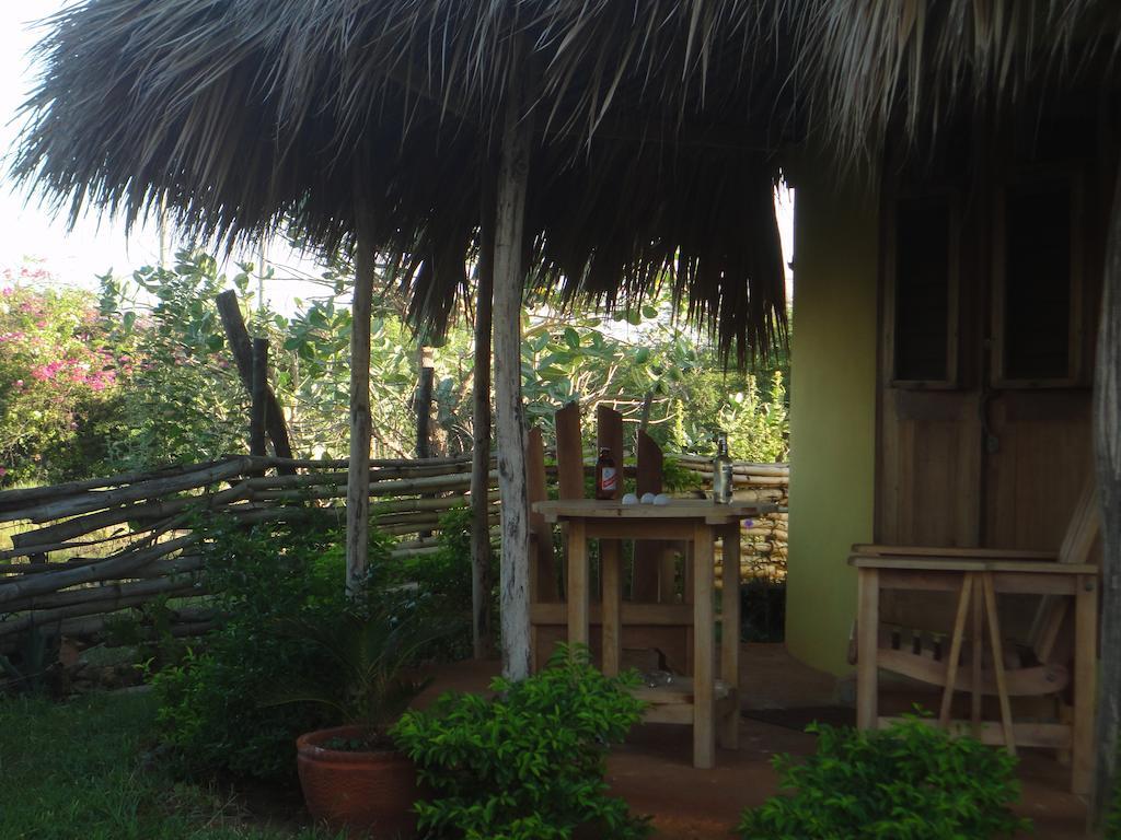 Kudehya Guesthouse Treasure Beach Bilik gambar