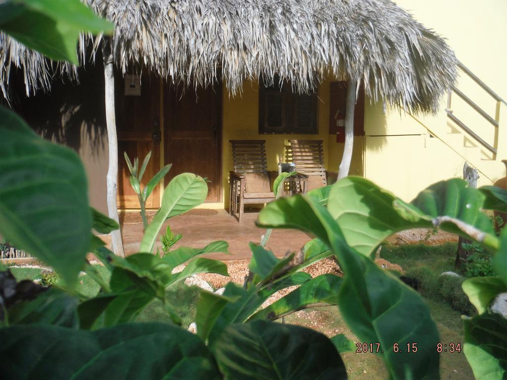 Kudehya Guesthouse Treasure Beach Luaran gambar