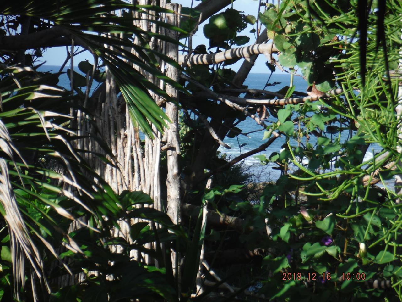 Kudehya Guesthouse Treasure Beach Luaran gambar